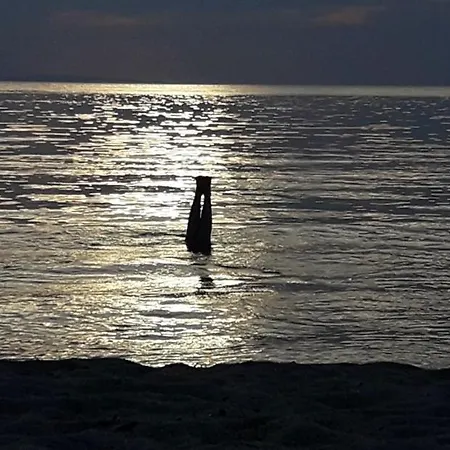 Alpha 公寓 托罗尼