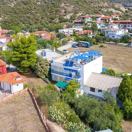 Alpha Apartament *
