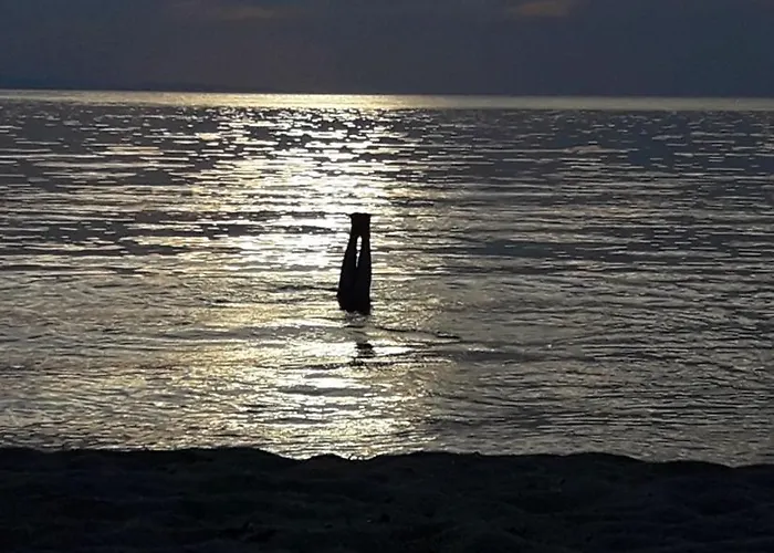 Alpha Lejlighed Toroni